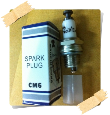 1 CM6 Spark plug